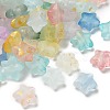 Frosted Acrylic Charms OACR-M023-04B-1