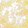 Transparent Colours Glass Seed Beads SEED-H003-01H-3