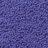 MIYUKI Round Rocailles Beads SEED-G008-RR0417L-3
