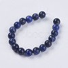Natural Sodalite Beads Strands G-G515-10mm-07-2