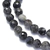 Natural Iolite Beads Strands G-K310-A15-6mm-3