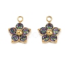 304 Stainless Steel Micro Pave Cubic Zirconia Charms STAS-B088-01G-03-1