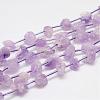 Natural Amethyst Bead Strands G-G937-S-03-1