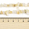 Natural Freshwater Shell Beads Strands BSHE-G036-02-4