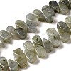 Natural Labradorite Beads Strands G-B064-B62-1