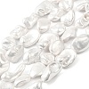 Electroplated Shell Pearl Beads Strands BSHE-A001-01C-1