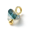 Electroplate Glass Charms PALLOY-JF00821-06-6
