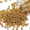 TOHO 6/0 Round Beads X-SEED-TR06-PF0557-1
