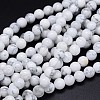Round Natural Howlite Bead Strands G-F222-14-8mm-1