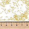 TOHO 15/0 Round Beads X-SEED-TR15-0162-4