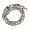 Natural Labradorite Beads Strands G-H349-A01-03-5