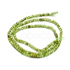Natural Peridot Beads Strands G-P457-B01-06-3