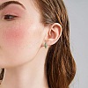 Enamel Striped Thick Hoop Earrings JE1110C-7
