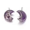 Natural Amethyst Tree of Life Wire Wrapped Pendants G-L520-E02-P-2