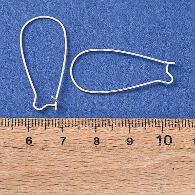 Brass Hoop Earrings Findings Kidney Ear Wires LS-EC221-S-1