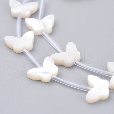 Natural White Shell Mother of Pearl Shell Beads SSHEL-L018-013-1