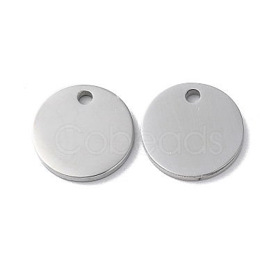 Non-Tarnish 304 Stainless Steel Charms STAS-Q308-09F-P-1