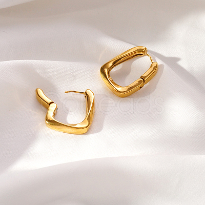 304 Stainless Steel Hoop Earrings for Women VX9531-1