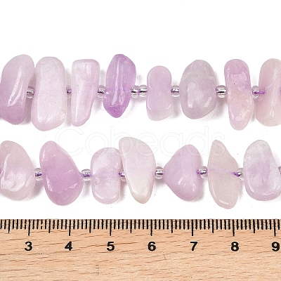 Natural Kunzite Beads Strands G-L657-E05-01-1