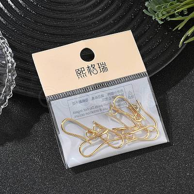 SHEGRACE Brass Earring Hooks XGR0003G-42G-1