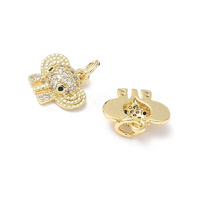 Brass Micro Pave Cubic Zirconia Charms KK-L253-10G-1