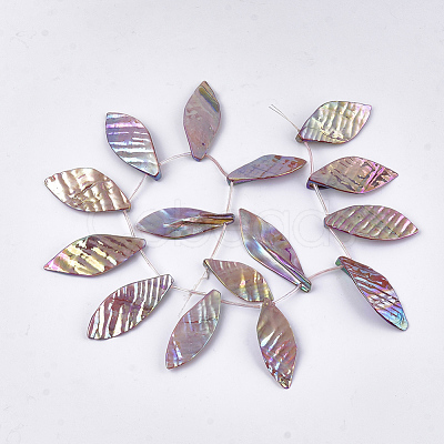 Freshwater Shell Beads Strands SHEL-T012-51-1
