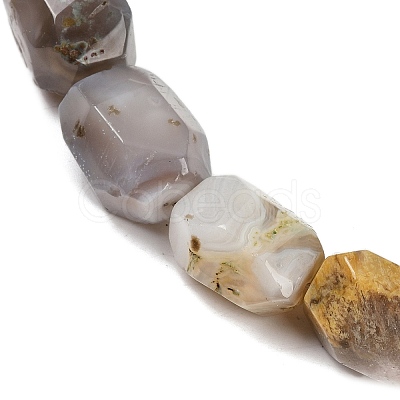 Natural Botswana Agate Beads Strands G-F796-C03-01-1
