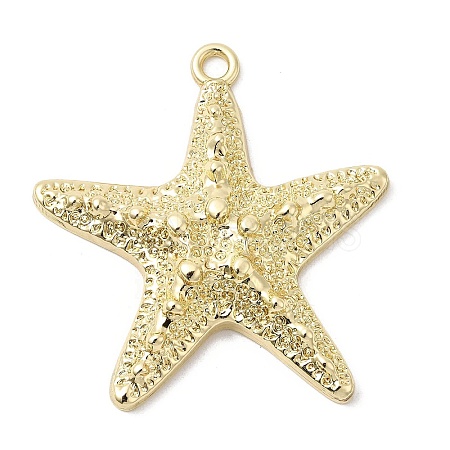 Alloy Big Pendants X-FIND-H055-13G-1