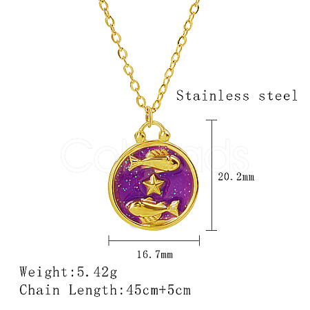304 Stainless Steel Enamel Constellation Pendant Necklaces LS-DJ0261-11-1-1