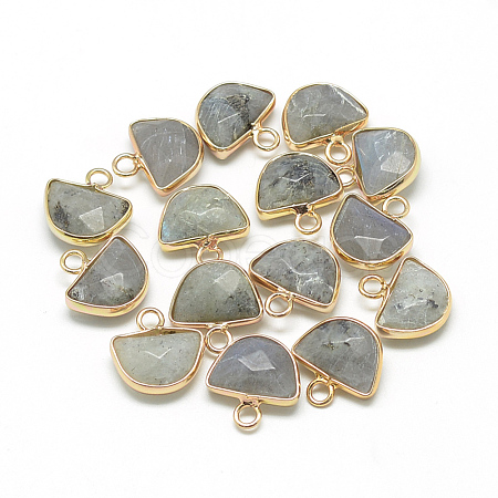 Natural Labradorite Semi Circle Pendants X-G-Q965-06-1