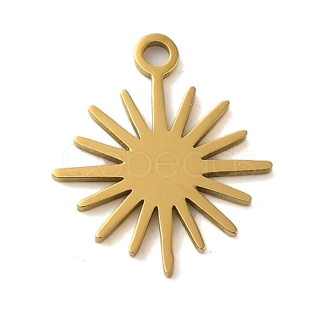 304 Stainless Steel Charms STAS-S123-01G-04-1