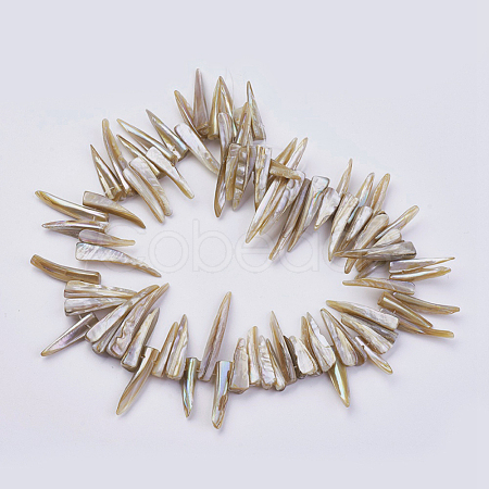 Natural Shell Beads Strands BSHE-P026-25-1