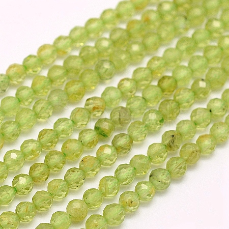 Natural Peridot Beads Strands G-F509-12-3mm-1