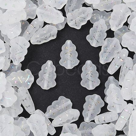 Frosted Transparent Acrylic Beads OACR-P029-04B-01-1