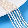 Natural Cultured Freshwater Pearl Beads Strands PEAR-T006-30-1