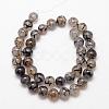 Natural Dragon Veins Agate Bead Strands G-K166-14-6mm-01-4