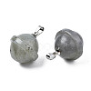 Natural Labradorite Pendants PORC-T132-053C-3