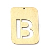 Ion Plating(IP) 304 Stainless Steel Pendants STAS-K216-49B-G-1