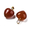 Natural Carnelian Pendants G-J386-H19-G-2