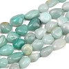 Natural Amazonite Nuggets Beads Strands G-J335-31A-2
