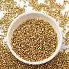 Electroplate Glass Seed Beads X-SEED-S042-01B-12-2