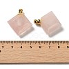 Natural Rose Quartz Perfume Bottle Pendants G-Z039-05G-04-3