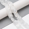 Natural Quartz Crystal Beads Strands G-K359-B01-01-2