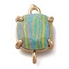 Brass Glass Imitation Gemstone Connector Charms KK-Z076-01G-2
