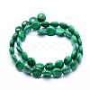 Natural Malachite Beads Strands G-D0011-06-10mm-2
