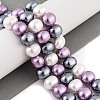 Shell Pearl Beads Strands BSHE-L035-E05-3