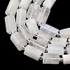 Natural Rainbow Moonstone Beads Strands G-L655-B04-01-3