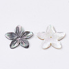 Natural Black Lip Shell Beads SHEL-S269-70-3