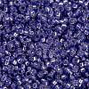 MIYUKI Round Rocailles Beads SEED-X0056-RR0649-4