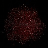 Luminous Glass Seed Beads X1-SEED-A033-07J-5
